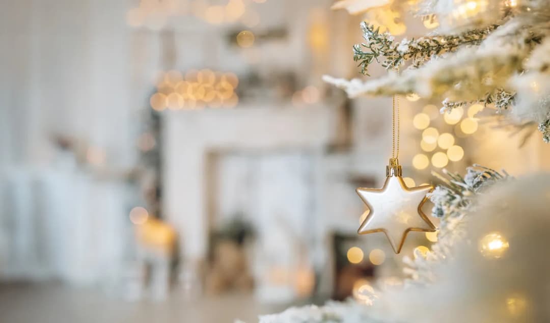 월간 특집 ② 우리 각자는 예수님의 기다림이며 희망이다.